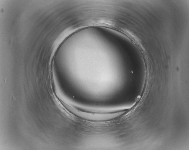 X0000057091200200509091305