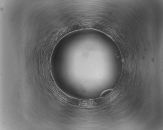 X0000057091201200509091304