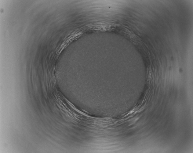 X0000057091202200509091304