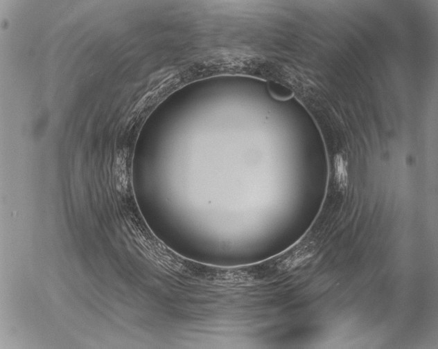 X0000057091203200509091304