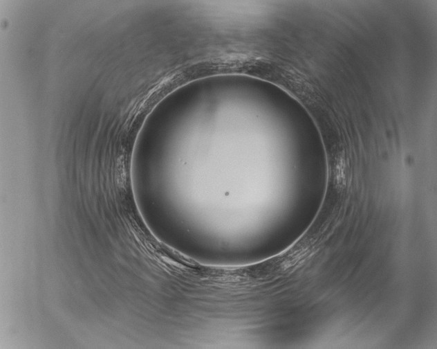 X0000057091204200509091304