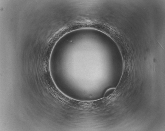 X0000057091205200509091304