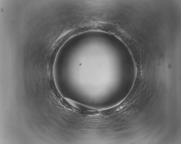 X0000057091206200509091304