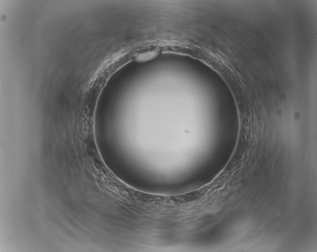 X0000057091207200509091304