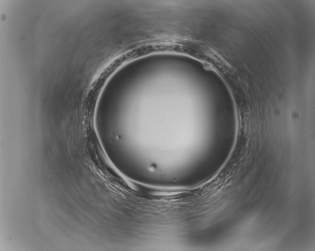 X0000057091208200509091304