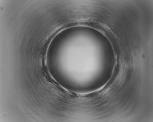 X0000057091209200509091304