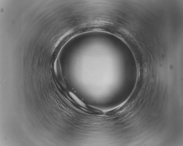 X0000057091210200509091304