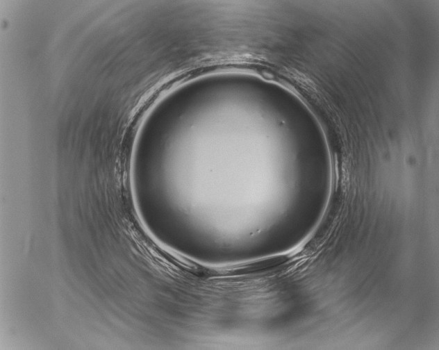 X0000057091212200509091305