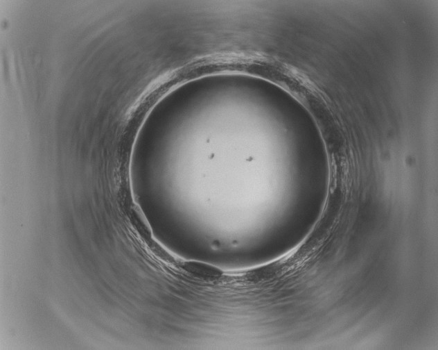 X0000057091213200509091305