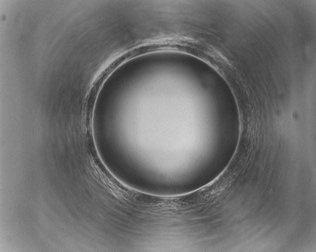 X0000057091216200509091305