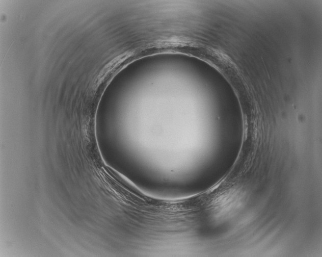 X0000057091217200509091305