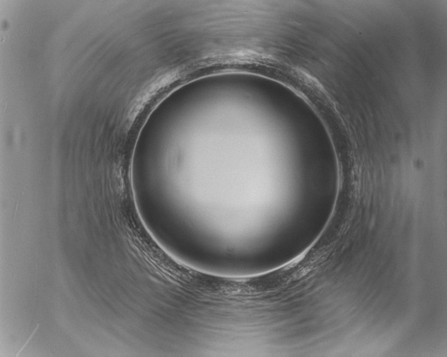 X0000057091218200509091305