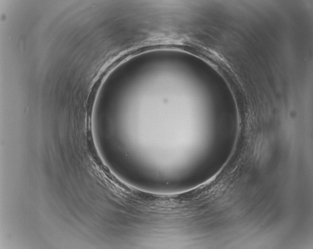 X0000057091220200509091305