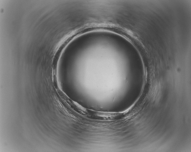 X0000057091221200509091305