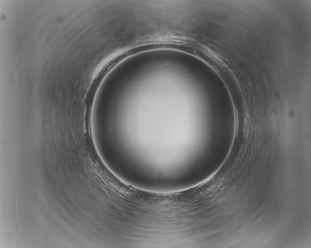 X0000057091222200509091305