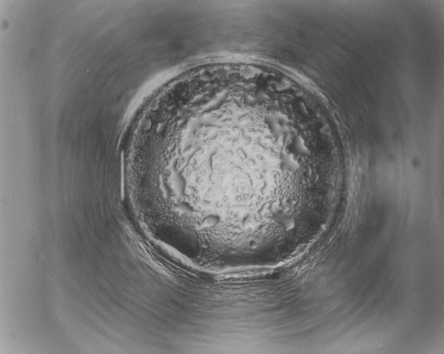 X0000057091223200509091305