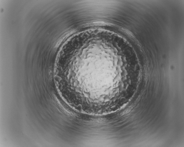 X0000057091225200509091305