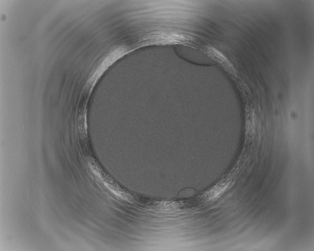 X0000057091226200509091305