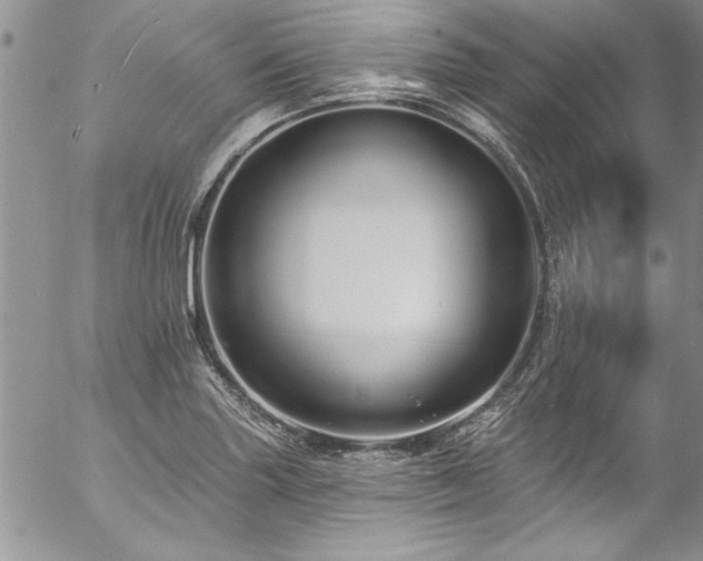 X0000057091227200509091305