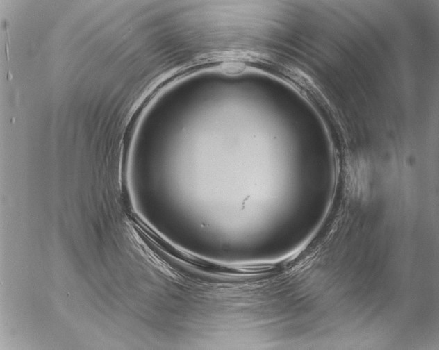 X0000057091228200509091305