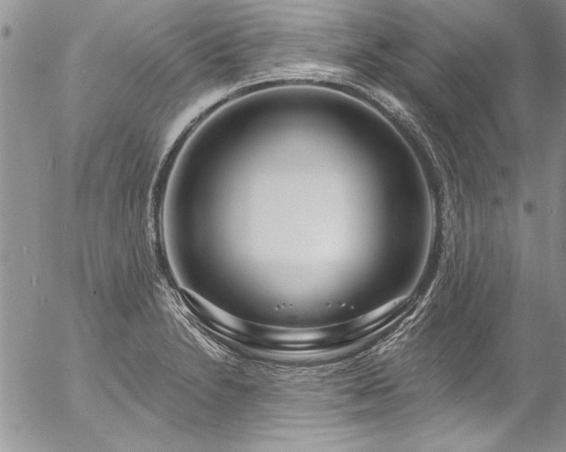 X0000057091230200509091305