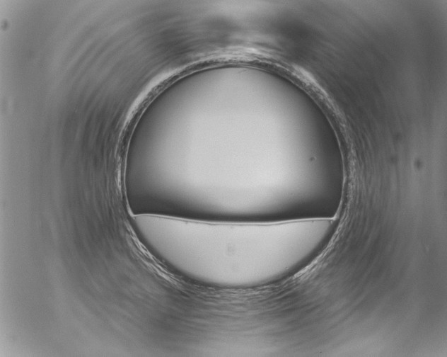 X0000057091232200509091305