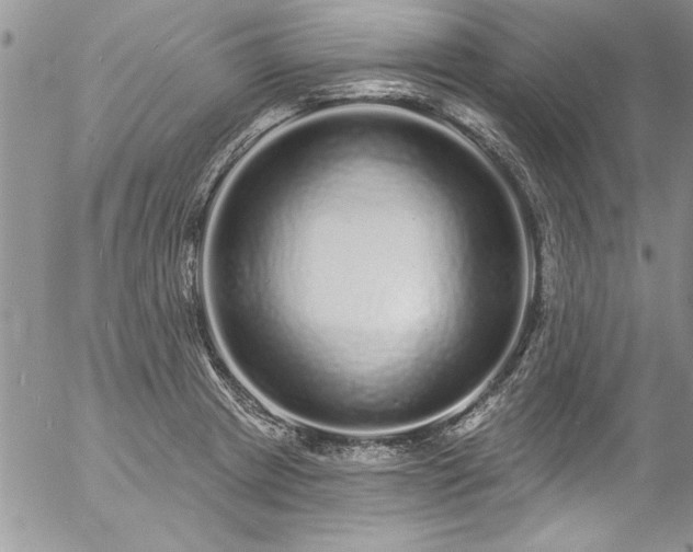 X0000057091233200509091305