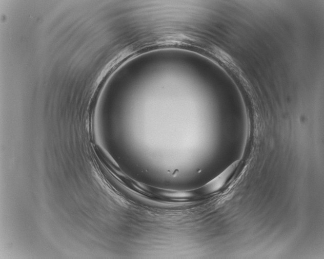 X0000057091234200509091305