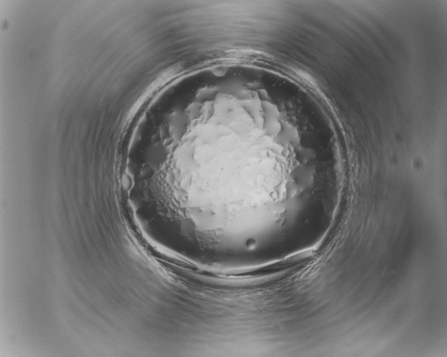 X0000057091235200509091305