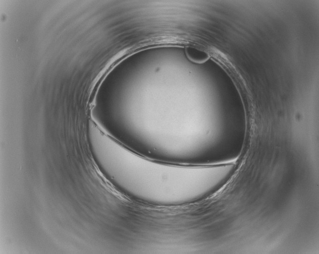 X0000057091236200509091305