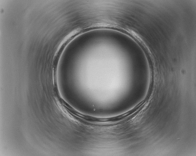 X0000057091238200509091305