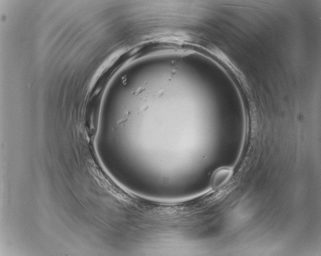 X0000057091240200509091305