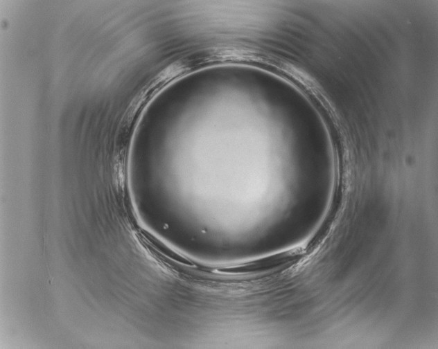 X0000057091241200509091305