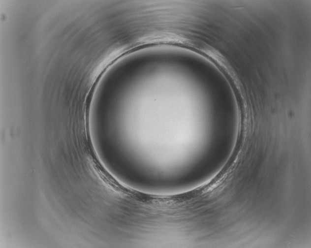 X0000057091242200509091305