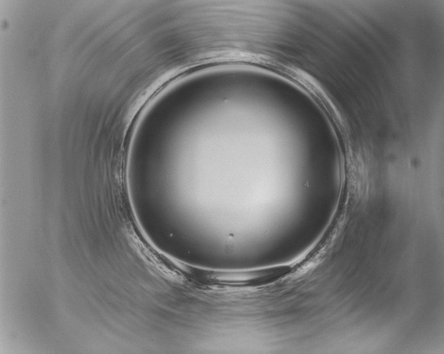 X0000057091244200509091305