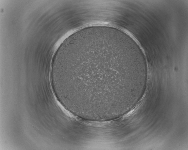 X0000057091245200509091305