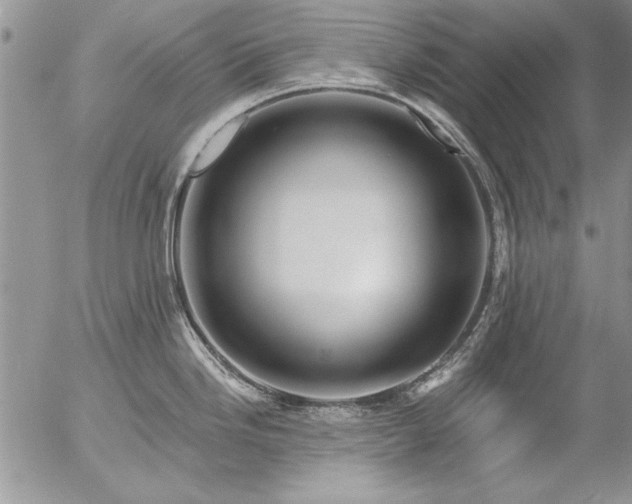 X0000057091246200509091305