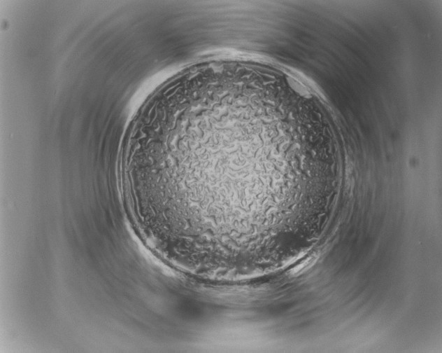 X0000057091247200509091305