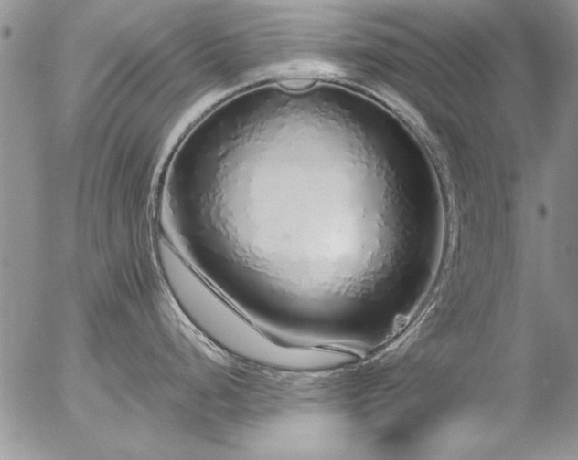 X0000057091248200509091305