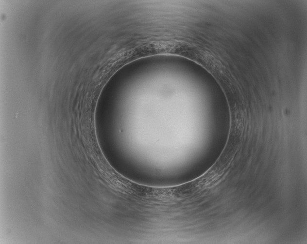 X0000057091249200509091304