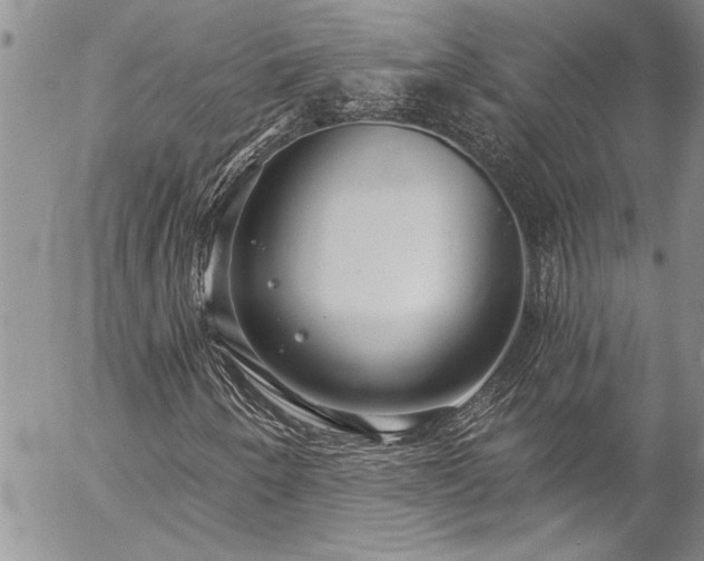 X0000057091250200509091304