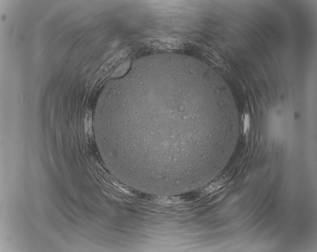 X0000057091251200509091304