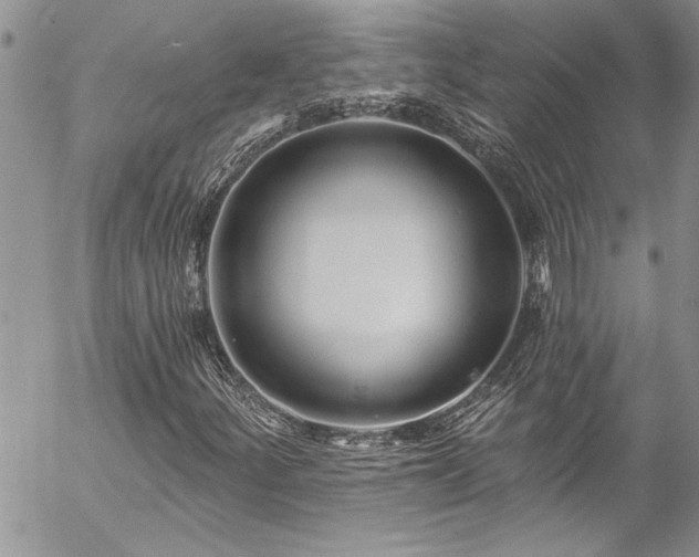 X0000057091252200509091304