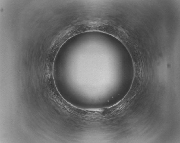 X0000057091253200509091304