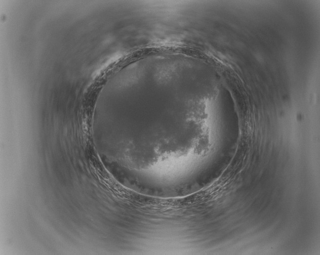 X0000057091254200509091304