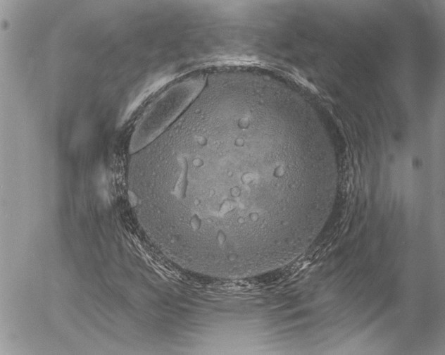 X0000057091255200509091304