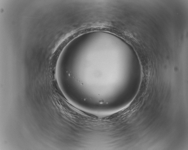 X0000057091256200509091304