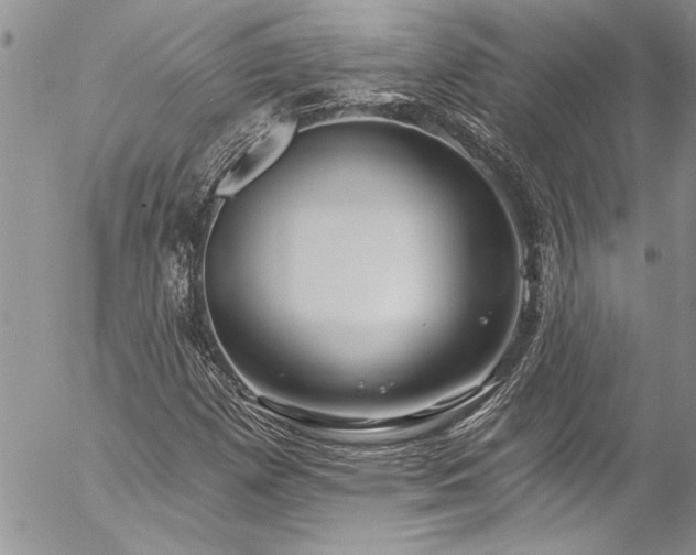 X0000057091257200509091304