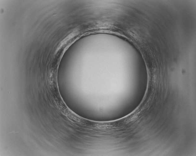 X0000057091258200509091304