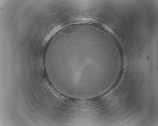 X0000057091259200509091304